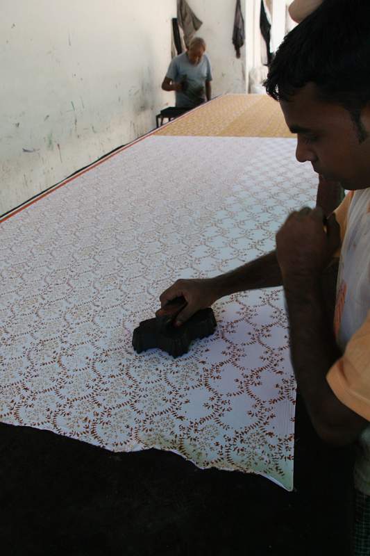 India & Nepal 2011 - 1455